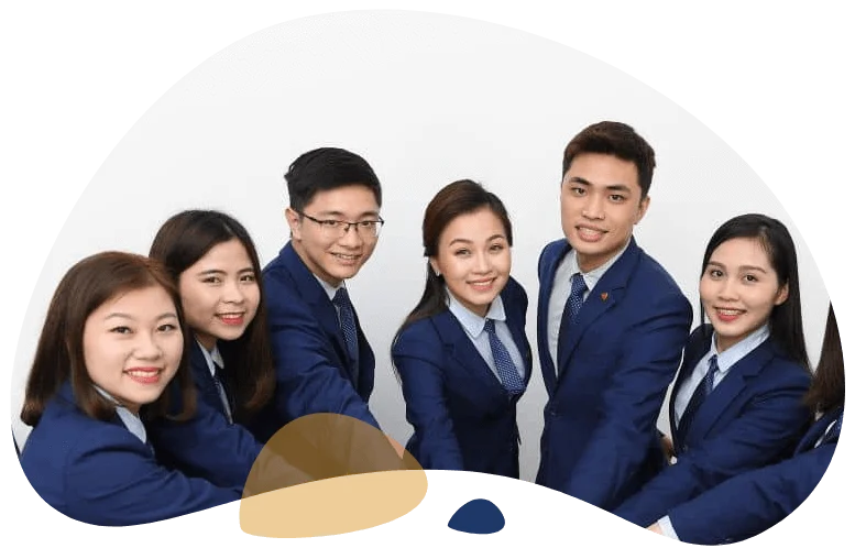 About Vector Outsourcing